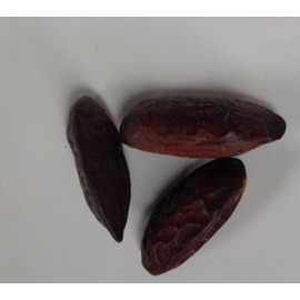 Ravenz Roost 3 Tonka Beans ~ One handmade Red Print Drawstring bag ~ Wishes Handmade item