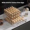 HIYOHIYO Clear 60 Egg Holder for Fridge, High Capacity Egg