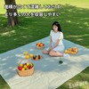 EsiFare レジャーシート 2-4人用 レジャーシート100×150cm ピクニックシ ート ビーチマット 折りたた ピクニックマット コンパクト