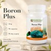 Dual-Source Boron 3mg with Vitamin B2 | Health Leads