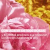 Set Regenerador Yves Rocher Crema Facial y Elixir de Belleza