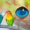 coconut shell bird nest natural coconut shell parrot nest bird