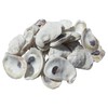 U.S. Shell, Inc., Drilled Oyster Shells, 2 to 3"