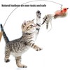 CATENEED Cat Feather Toys Refill, 5 Pieces Cat Wand Attachments