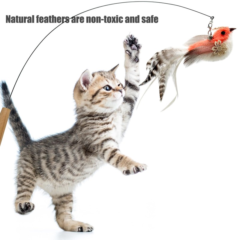 CATENEED Cat Feather Toys Refill, 5 Pieces Cat Wand Attachments