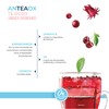 Zaaté - Anteox - Jamaica Arándanos 0% Azúcar