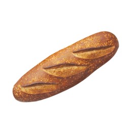 San Francisco Boudin Bakery Sourdough long loaves 16 oz (2)