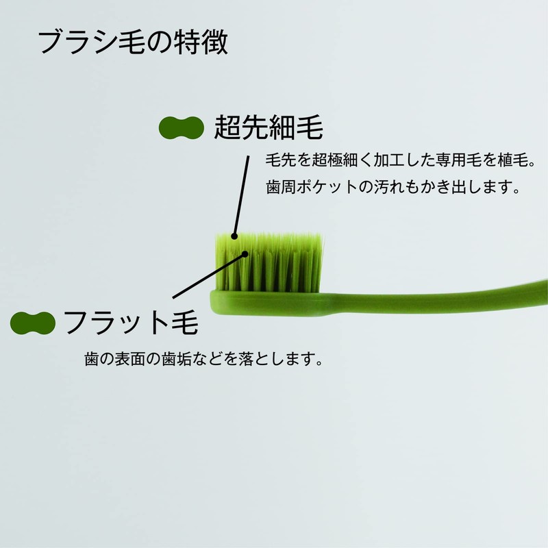 Sakabe Brush [Made in Japan] Perforation Reaches the Back Tooth