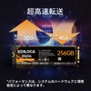 EDILOCA EN206 SSD 256GB M.2 2280 with 3D TLC NAND