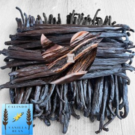 Vanilla Bean Kings 30 Pcs Fresh Gourmet Madagascar Vanilla Beans Grade A | 6"++ Long Beans
