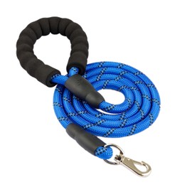 Dog Lead 5ft Lead with Comfortable Padded Sponge Handle and Reflective Threads, Small Medium Large Dogs, Blue