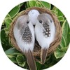 GOUDOGEDC 2 Set Simulation Bird Nest with Bird and Eggs