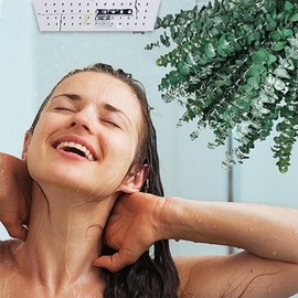 Dried Eucalyptus Stems for Shower, 17 Inch 100% Natural Fresh Eucalyptus Leaves Branches for Wedding Home Decor (10)