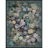 Bead Mixes By Color:_Light Blue w Teal_Extra Large - $34.99