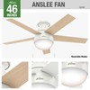Hunter 46 inch Indoor Ceiling Fan with LED Light -