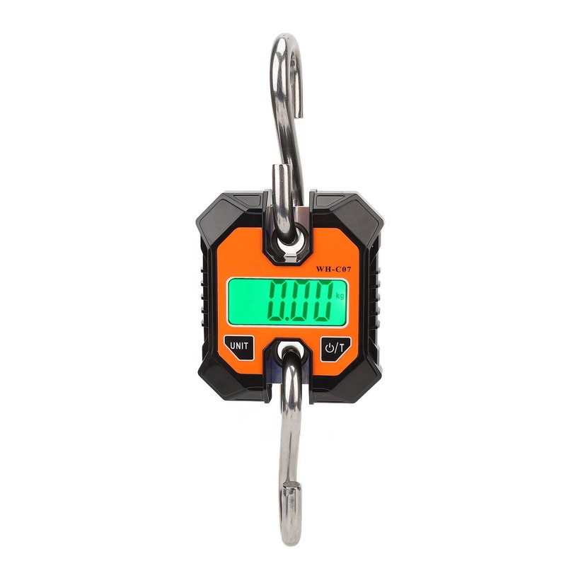 Digital Fishing Scale Multifunction 0.2kg to 100kg Portable Electronic Hook