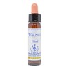 Healing Herbs/Flower Essence [Walnut]