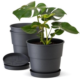 Plastard Flower Pots Set of 3, 22 cm Diameter with Saucer Made of Plastic, Anthracite, Round Planter, Weather-Resistant Planter, Large Flower Pots
