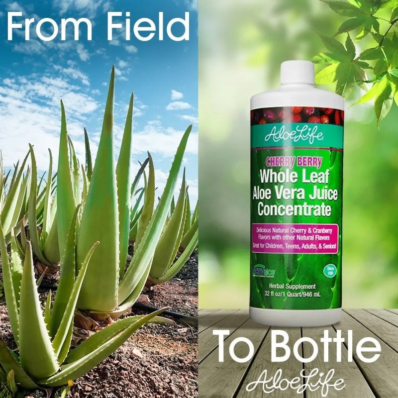 Aloe Vida - Hoja Entera De Aloe Vera Concentrado De