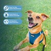 Voyager Step-in Air Dog Harness - All Weather Mesh, Reflective,