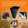 yisanxunshi Farm Level Chicken Slaughtering Cone - Rust Resistant and