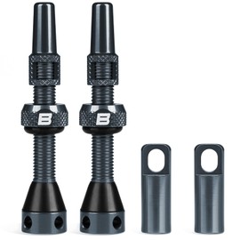 BWSHLF Gray Tubeless Presta Valve Stem 100mm, Super Light Alloy Presta Valve Stem Kit with Valve Core Remover Tool and Valve Stem Caps - Multiple Color and Size Options(Pair)