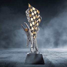 GOODS+GADGETS Racing Trophy – Motorsport Winner Cup Victory Statue Gokart Award Ceremony 26 cm Elaborately Modelled & Hand-Painted (Winner Cup – Motorsport)