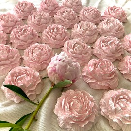 espressivo Large Aroma Stone, Pink, 3.2 inches (8.2 cm), Essential Oil Does Not Bleed Out Object, Delicate Beautiful, Interior, Entryway, Bedroom, Desk, Toilet, Aroma, Gift, Shivo, Peony Pink