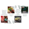 Pack of 6 FLOFARE Round Floral Foam Blocks for Fresh