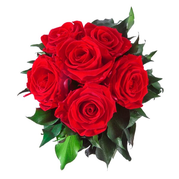 Rosemarie Schulz Preserved Bouquet with 6 Roses (Red)