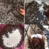 5QT Organic Perlite Horticultural Soil Amendment for Plants and Enhanced
