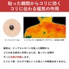Pip Electric Van MAX200 Magnetic Therapy Device for Shoulder Stiffness,