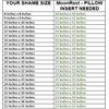 MoonRest Pack of Two Square Pillow Insert Form Filled with
