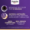 Palette Tinte para cabello color creme, borgona intenso 4-89, 0.165