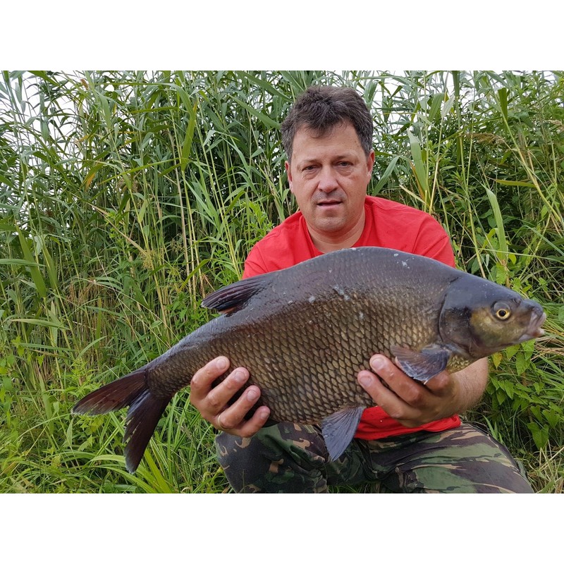 Tandem Baits Method Feeder MF Diffusion Micro Chunks 8mm 20g