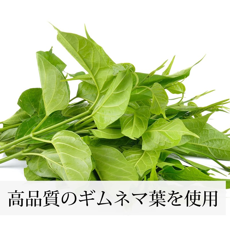 Shizen Health Company Gymnema Tea 32 Pack Gymnema Sylvesta Supplement