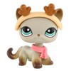 Miniature Cat and Dog Puppy Kitten Fox Figures Pet compitable