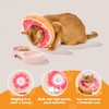 Cat Cone, Adjustable Cat Recovery Collar, Extra Soft Cat E
