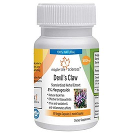 Devil's Claw Extract (Harpagophytum Procumbens) - 500mg - 60 Vegan Capsules - Joint Health