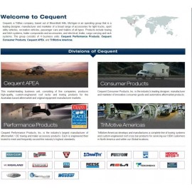 RAM Towing Safety Chain 18,800 lbs Capacity per Pair 36" Length Grade 70