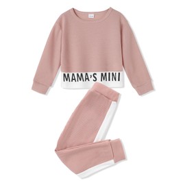 ZOEREA Toddler Baby Girls Clothes Outfits Long Sleeve Pullover Sweatshirt Tops + Pants Set Fall Winter Sweatsuits Pink 3-4T
