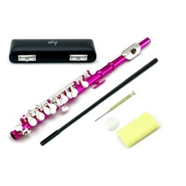 Sky Band Approved Piccolo Key of C with Hard Case, Cloth, Cleaning Rod, Joint Grease, and Screw Driver, (Hot Pink/Silver)
