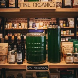 Espirulina Viva Alga Semilla Natural Culitvo                                                                                                          
