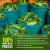 FreshDrinkUS, Premium 60+ Mango Whole Leaves Dried, 100% Natural &