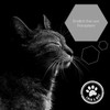Lolo & Max Ear Mite Drops - Ear Mite Drops