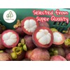 Premium Whole Freeze Dried Tropical Fruits, 100% Fruits, Natural, 70G