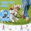 Double-Dog Leash, an Adjustable and Retractable 360° Leash, Suitable for