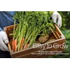 Gardeners Basics Winter, Fall, and Spring Vegetable Seeds for Planting