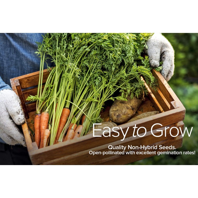 Gardeners Basics Winter, Fall, and Spring Vegetable Seeds for Planting