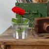 Kichvoe Transparent Flower Bucket 6.5 Inch Clear Floral Container Multipurpose